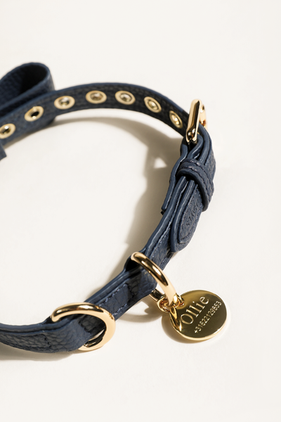 Mørk blå hundehalsbånd i vegansk læder med guld detaljer og hundetegn uden indgravering. Hundehalsbåndet har en aftagelig sløjfe. 