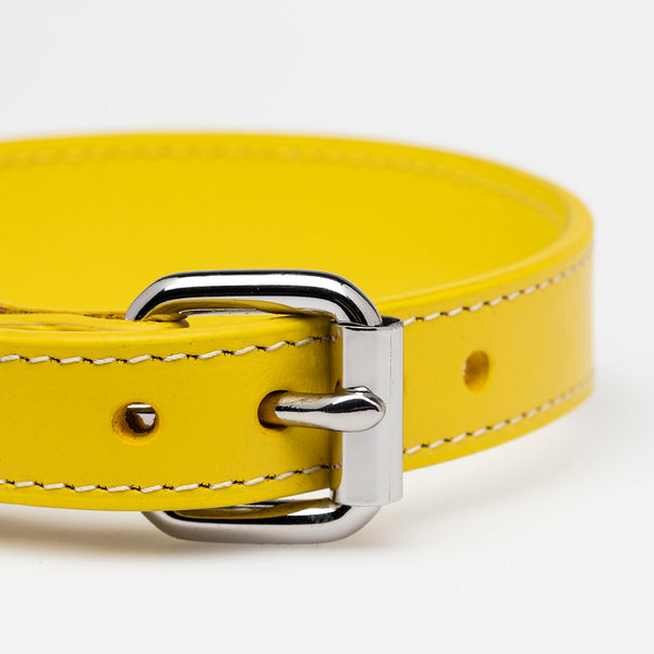 Close-up af hundehalsbånd i gul farve med sølv detaljer.